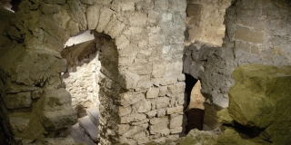 Visite guidée LSF - Crypte archéologique de l'île de la Cité - Patrim'ArtSigne
