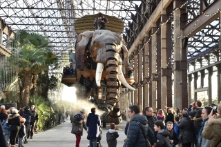 Visite LSF du Grand Eléphant - Les Machines de l'île