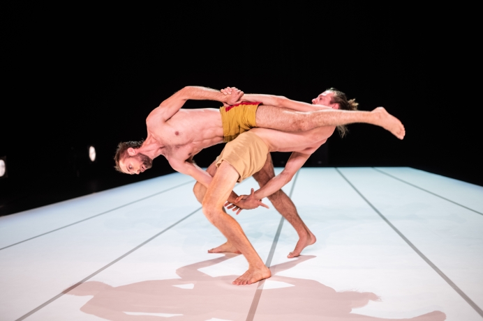 Through The Grapevine d’Alexander Vantournhout.